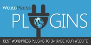 WordPress Plugins